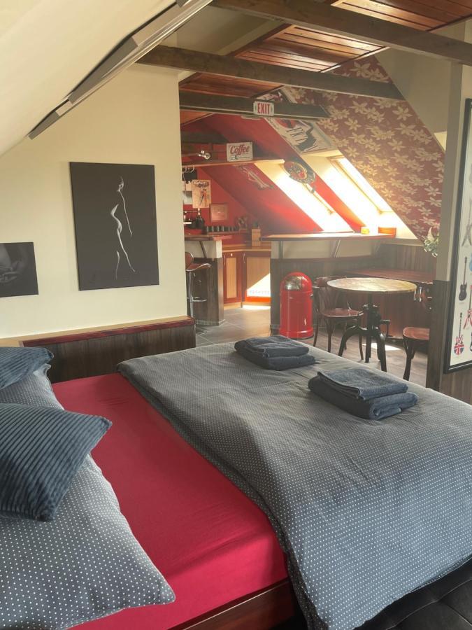 Apartmány Radniční Frýdek-Místek Exteriér fotografie